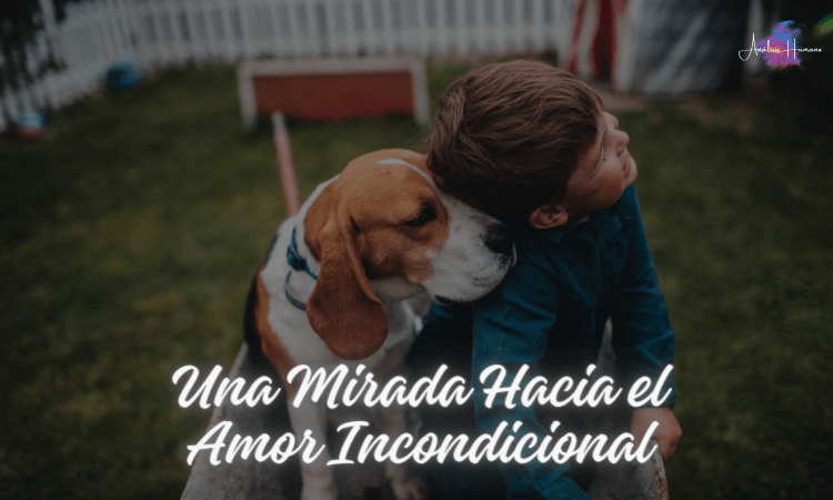Una Mirada Hacia el Amor Incondicional